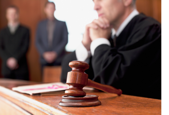 Guilty Plea in Niles Case