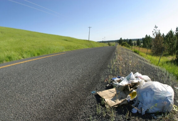 NCDOT Sets New Yearly Litter Collection Record