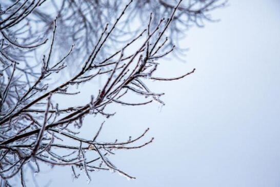 Winter Weather Impacts WNC