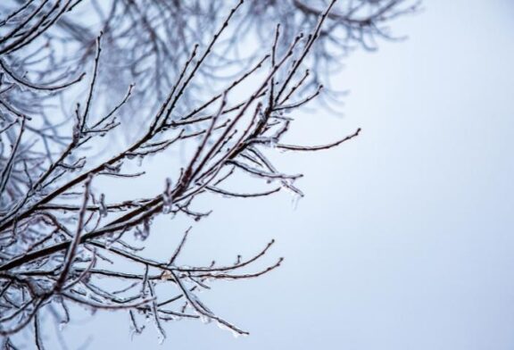 Winter Weather Impacts WNC