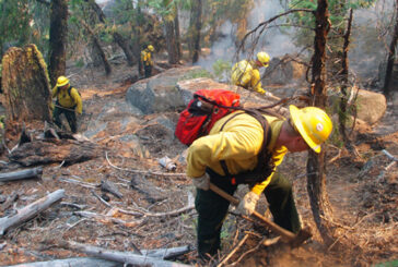 Two Prescribed Burns This Week