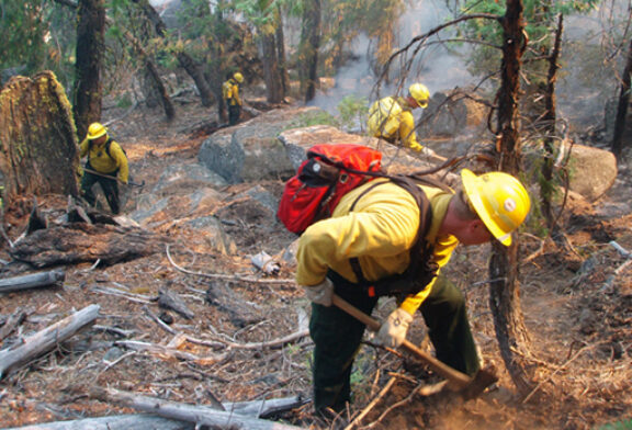 Two Prescribed Burns This Week