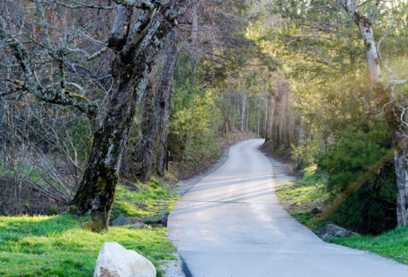 Park announces Cades Cove Loop Road temporary closure for road repairs