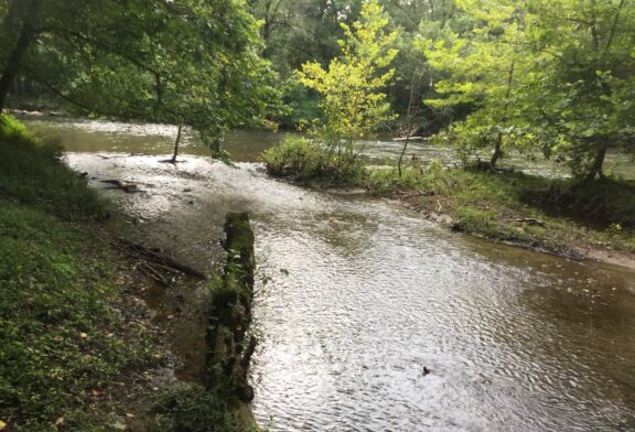 Land Along the Valley River Conserved