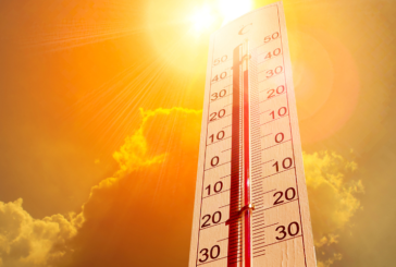 How to Keep Cool and Healthy All Summer Long