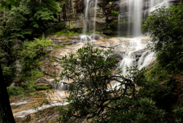 New details released about deaths at Nantahala Forest