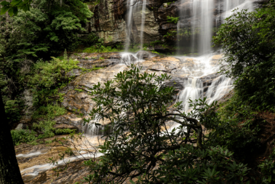 New details released about deaths at Nantahala Forest