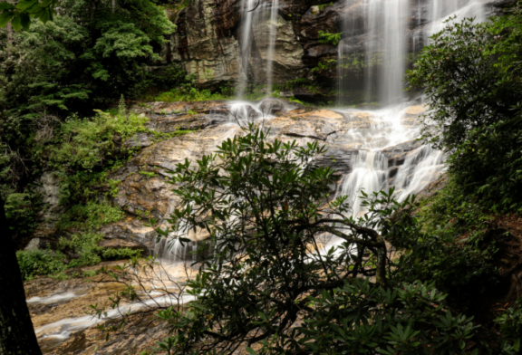 New details released about deaths at Nantahala Forest