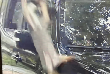 Swain County Man Facing Animal Cruelty Charges