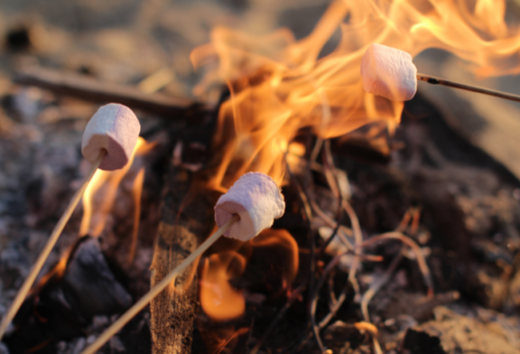 GSMNP Lifts Campfire Ban