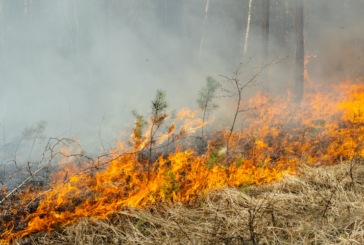 Jackson County Wildfire