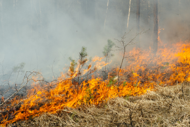 Jackson County Wildfire