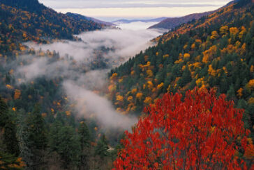 Fee Free Day in GSMNP For Veteran’s Day