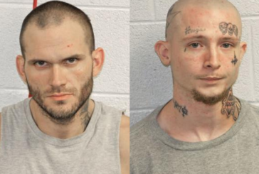 Drug Traffickers Apprehended