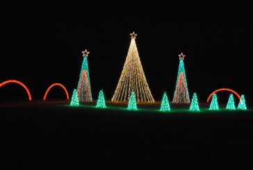 Swain Light Show Will Return in 2024