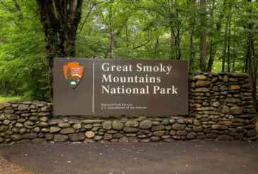 Newfound Gap Road Improvements