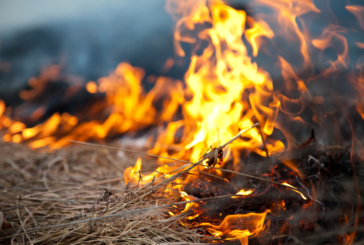 Hicks Cemetery Fire in Haywood 50% Contained