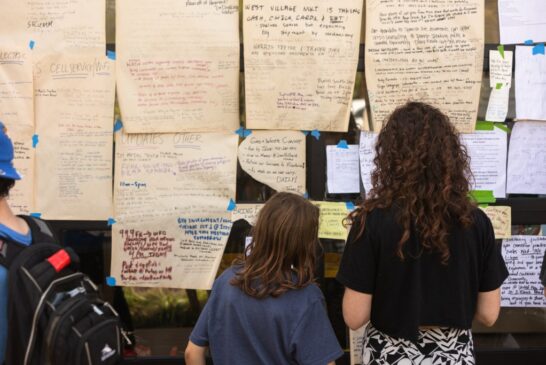 Voices after the storm. Talking with people in Asheville following Helene.