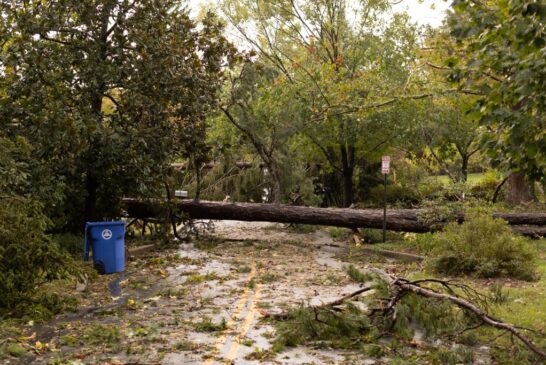 What kind of aid is FEMA providing in Western NC?