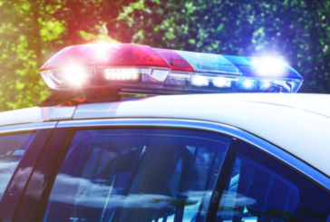 Store Theft Leads To Manhunt and Arrests