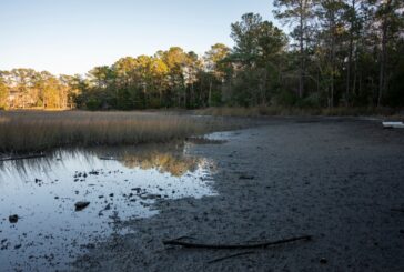 Dry run: A lengthy drought in Eastern NC hasn’t led to panic — yet