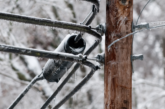 WNC Power Outages Climb