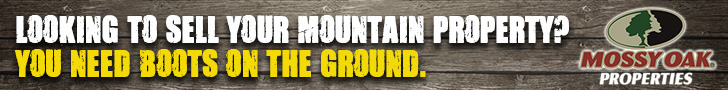 Homepage Top Rotator