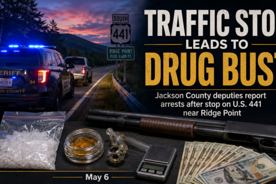 Traffic Stop Leads To Drug Charges